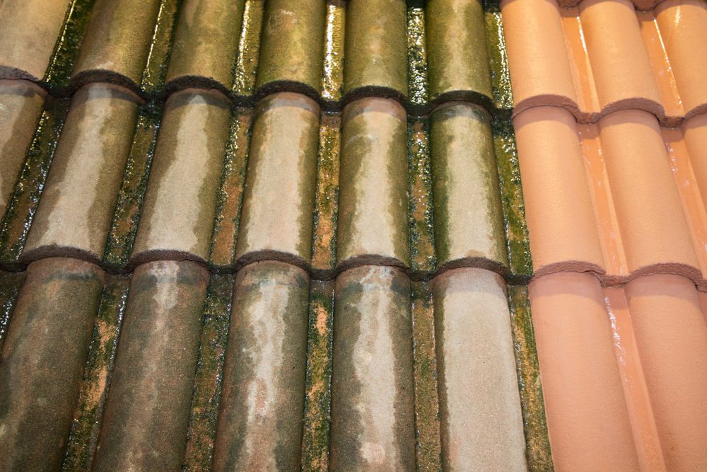 Oud vieze dakpannen laten inspecteren in Maarn